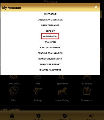 k9win withdraw 2